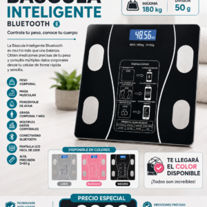 BASCULA INTELIGENTE