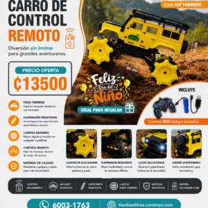 CARRO CON CONTROL REMOTO